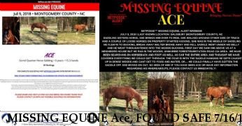 MISSING EQUINE Ace, FOUND SAFE 7/16/18 Near Salisbury, NC, 28146